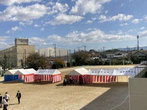 IMG_6534-2