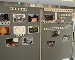 IMG_6686-97