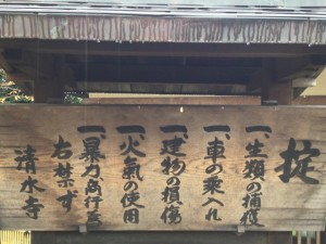 IMG_7002-10